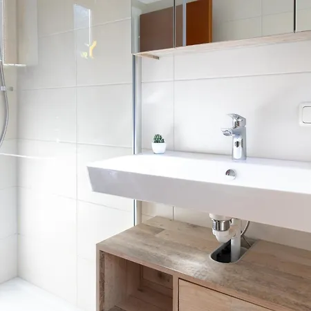 Schareckblick 公寓 *