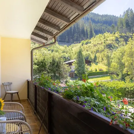 Schareckblick 巴德加斯坦