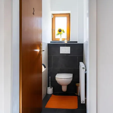 Schareckblick * 巴德加斯坦